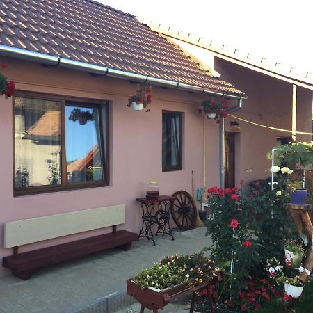 Casa Rustica Cu Terasa Villa Mediaş Екстериор снимка