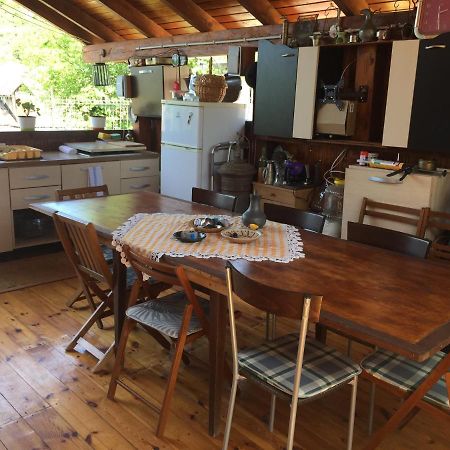 Casa Rustica Cu Terasa Villa Mediaş Екстериор снимка