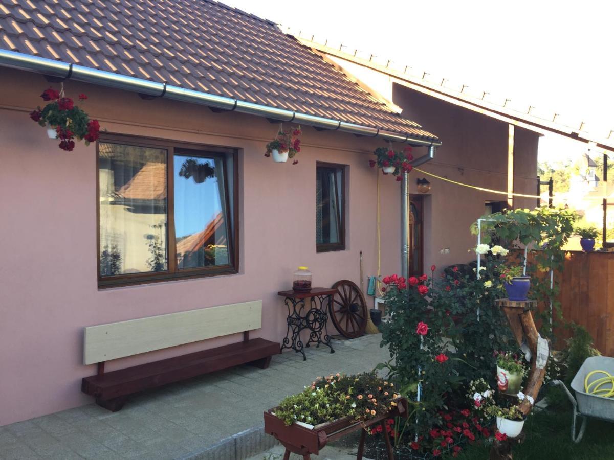 Casa Rustica Cu Terasa Villa Mediaş Екстериор снимка