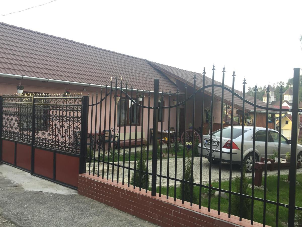 Casa Rustica Cu Terasa Villa Mediaş Екстериор снимка