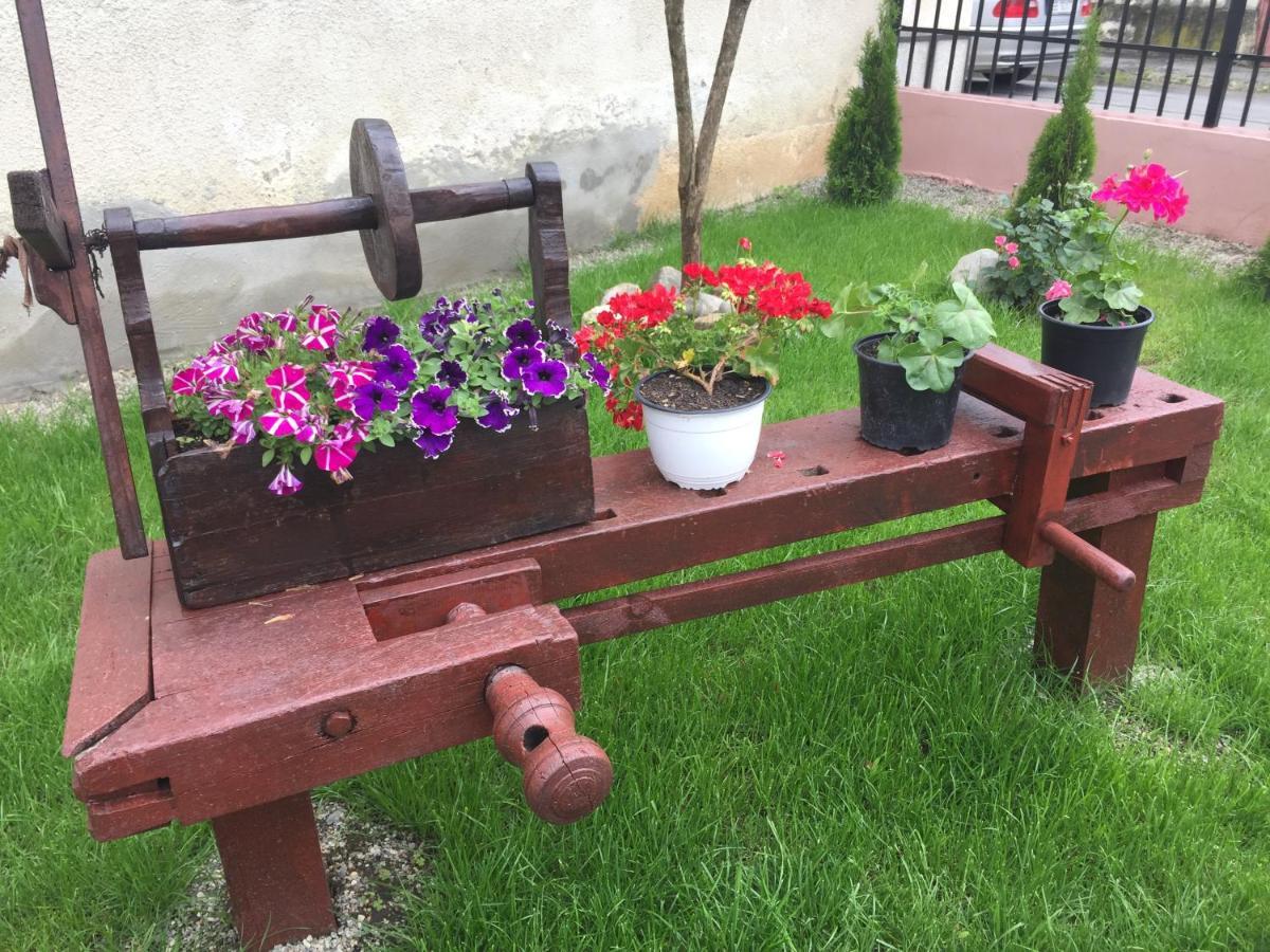 Casa Rustica Cu Terasa Villa Mediaş Екстериор снимка