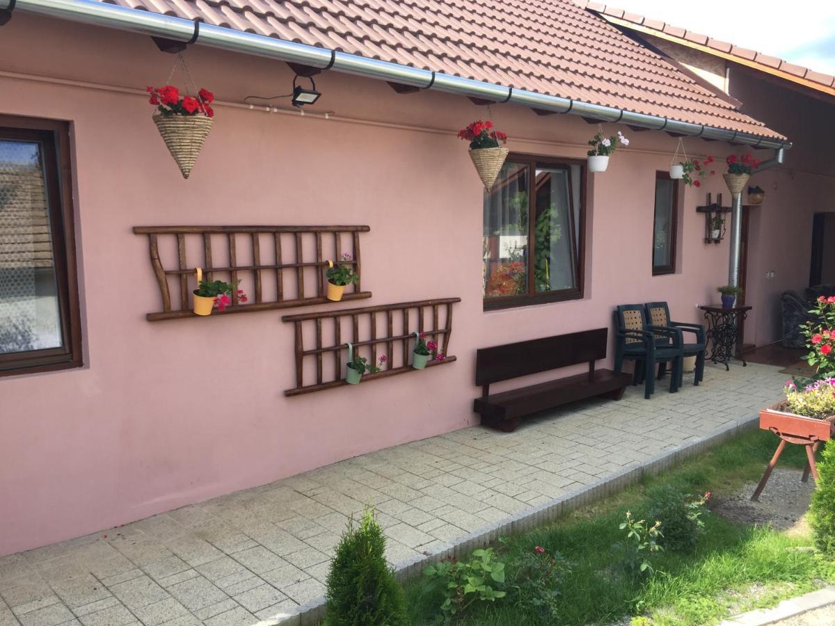 Casa Rustica Cu Terasa Villa Mediaş Екстериор снимка