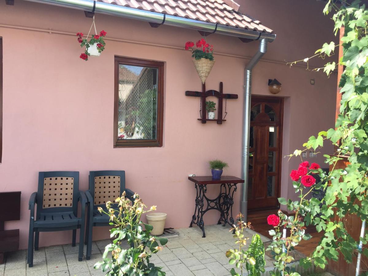 Casa Rustica Cu Terasa Villa Mediaş Екстериор снимка