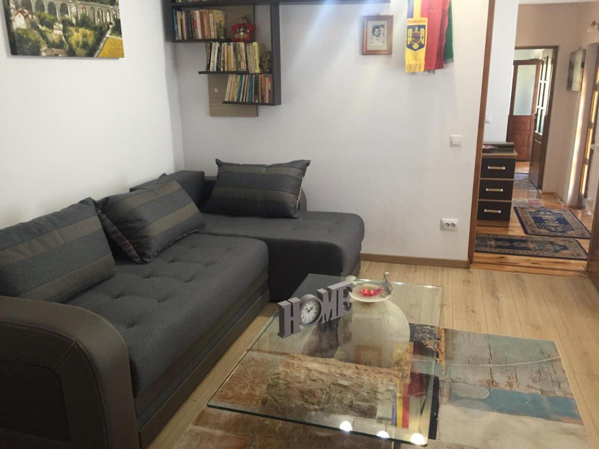 Casa Rustica Cu Terasa Villa Mediaş Екстериор снимка