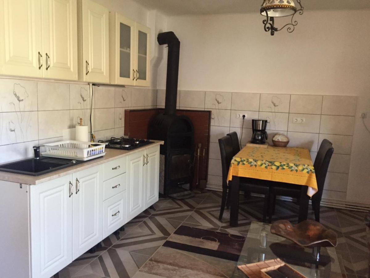 Casa Rustica Cu Terasa Villa Mediaş Екстериор снимка